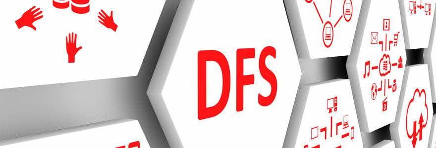 La DFS